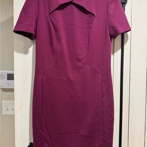 Banana Republic Rich Purple Mini Dress